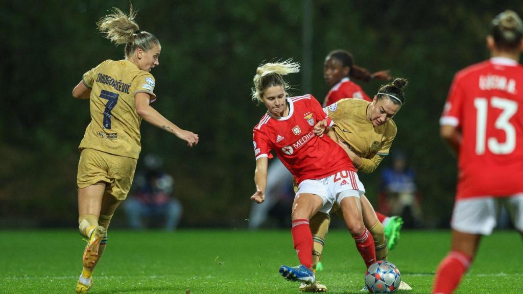 CanXNT Round-Up: 12th — 18th December&nbsp;