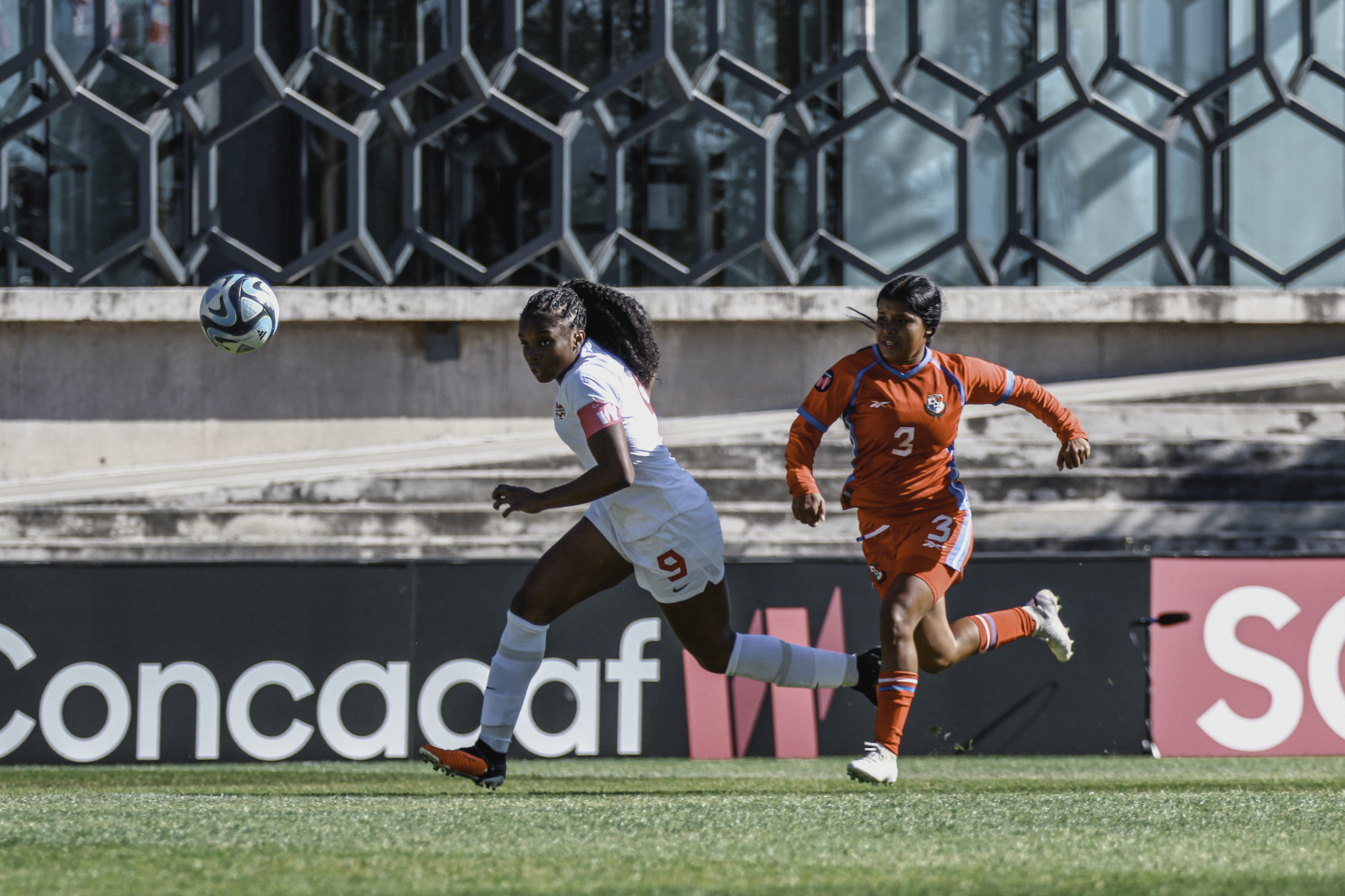 CanXNT Round-up: 30th January—5th February